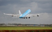 KLM Boeing 747-406